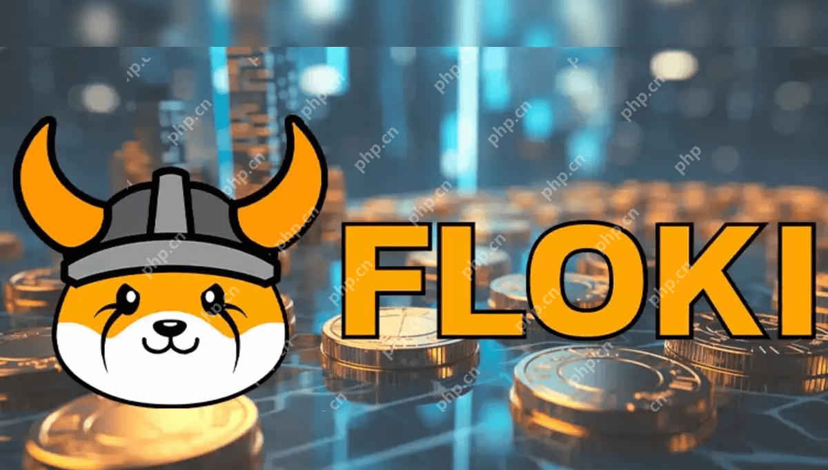 弗洛基（Floki